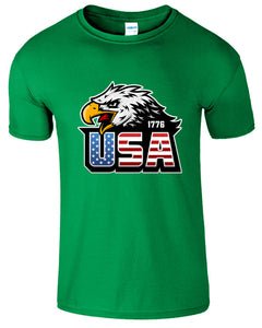 1776 USA Eagle Flag American 4th Of July Patriotic Veteran Men's T-Shirt